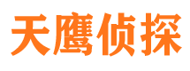 隆昌侦探公司